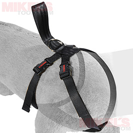 Cinturon de Seguridad para Mascota Modelo CISMA